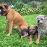 Елена, фото