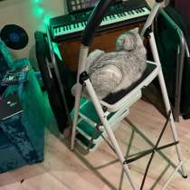 Стремянка, в Жуковском