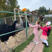 Экскурсия на страусиную ферму, в Москве