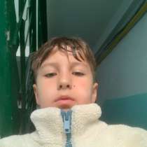 Выгул собак в Тольятти, в Тольятти