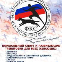 Дрессировка и спорт, в Волгограде