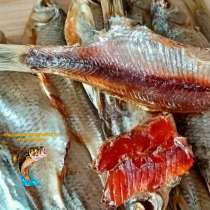 Рыба вяленая и сушена Сорожка по цене 350 руб./кг, в Москве