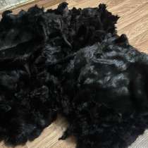 Ондатра крашенная, в Ульяновске