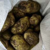 Картошка/картофель кормовая, в Анапе