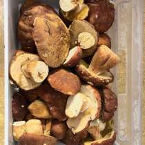 Белые грибы свежие, в Микуни