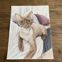 Рисую ваших питомцев, в Москве