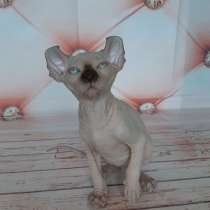 Мальчик Эльф, в Москве