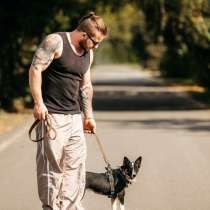 Очаровательная маленькая собачка Налла в дар, в Москве