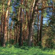 Прoдаю новые фотообои, в Краснодаре