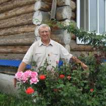 Виктор, 69 лет, хочет познакомиться, в Оренбурге