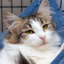 Жизнерадостная Ариэль спешит навстречу друзьям, в Москве