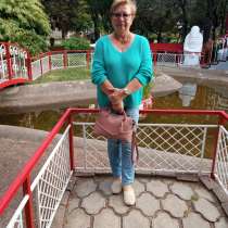 Тамара, 60 лет, хочет пообщаться, в Москве