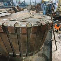 Стойкий скальник, в Санкт-Петербурге