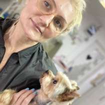 Стрижка собак, экспресс линька собак и кошек. Груминг, в Санкт-Петербурге