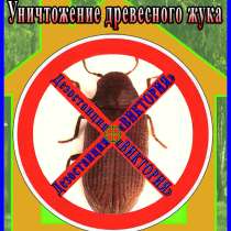 Как избавиться от древесного жука короеда услуги в Алматы, в г.Алматы