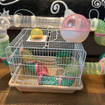 Просторная клетка для грызунов, в Свободном