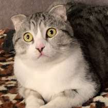 Отдам в хорошие руки)В связи с переездом в другой город, в Астрахани