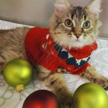 Красотка Элен в приске дома, в Москве