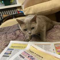 Motorola, 55 лет, хочет пообщаться – Motorola, 45 лет, хочет познакомиться, в Москве