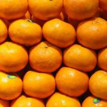 Абхазские мандарины, в Москве