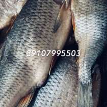 Сушёная волжская малосольная рыба, в Нижнем Новгороде