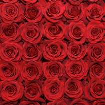 Розы из Эквадора по самым низким ценам в России, в Москве