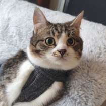 Мега ласковая красотулечка Машенька мечтает о родной семье и, в Москве