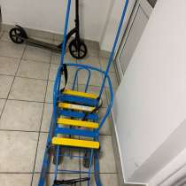 Санки, в Москве