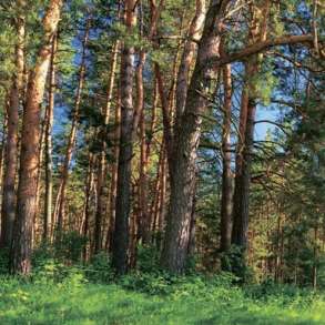 Прoдаю новые фотообои, в Краснодаре