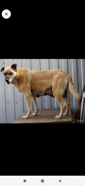 Девочки в Омске фото 15