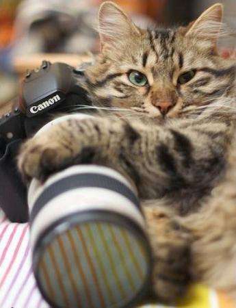 Курсы обучения.Искусство фотографии.