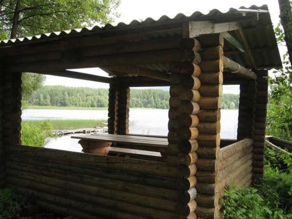 Дача на берегу озера в Нацпарке Браславские озера. Струсто в фото 6