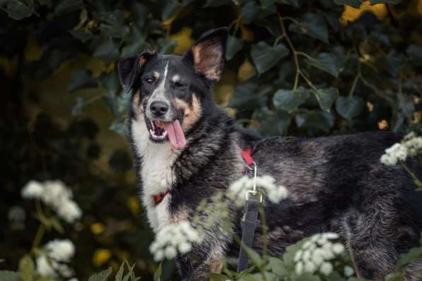 Том ищет дом в Москве фото 8