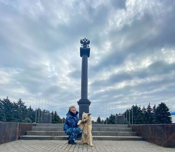 Кинолог дрессировка собак в Ростове-на-Дону фото 3