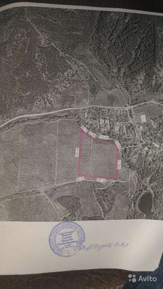 Участок 4.5 га (СНТ, ДНП) в Бахчисарае фото 3