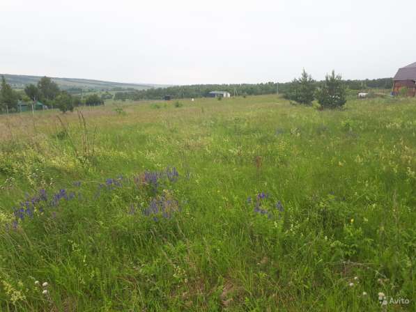 Участок 15 соток в Туле фото 28