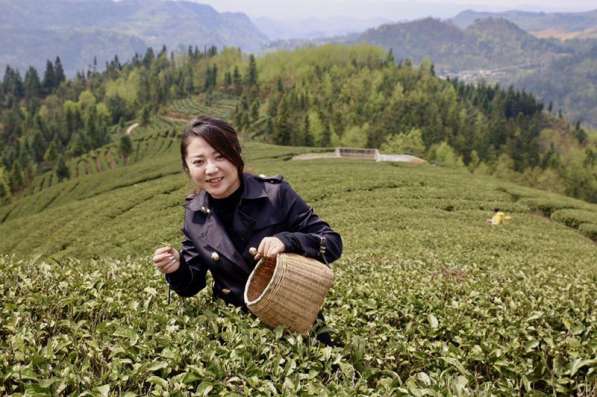Поставка чая из Китая - договорная цена сертификациим ЕС в Москве фото 10