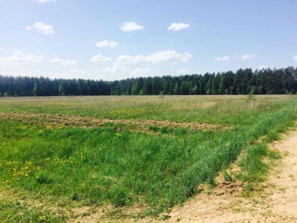 Продается земельного участка 15 соток в деревне Махово, Можайский р-он, 140 км от МКАД по Минскому шоссе в Можайске фото 3