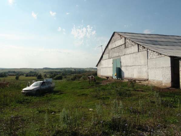 Ферма/ранчо 1600кв. м. на 200голов КРС + 55 соток земли в Уфе фото 13