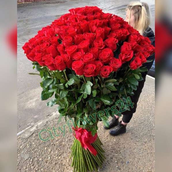 Высокие розы Длинные розы в Москве фото 5