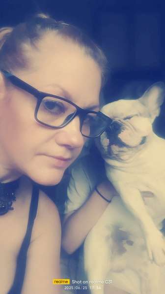 Ищу сыночка французского бульдожку