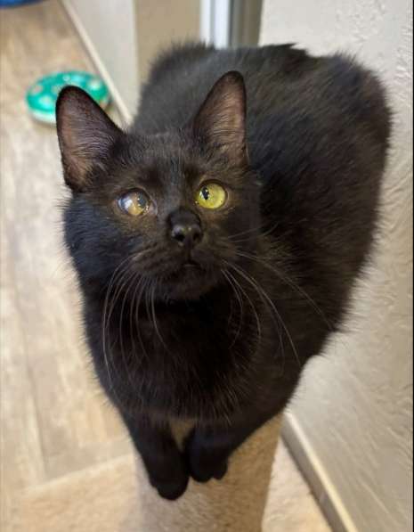 Полина в дар в фото 4