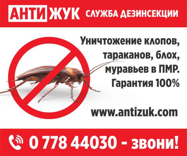 Дезинсекция. Дезинфекция. Уничтожение тараканов, клопов, бл