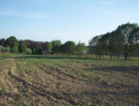 Продается земельный участок 10 соток под ЛПХ в д. Межутино, Можайский р-н, 143 км от МКАД по Минскому шоссе