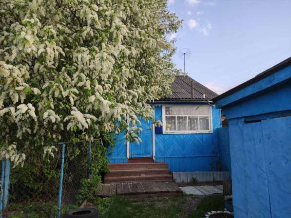 Продается дом в селе Иванырс Лунинского района