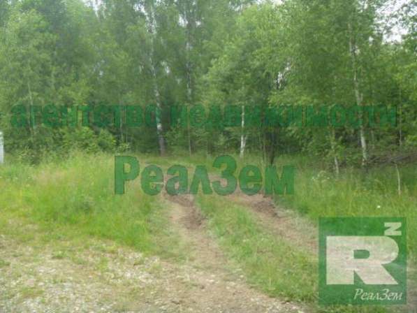 Cрочно, продаются земельные участки в СНТ «Березовая роща» в Обнинске фото 13