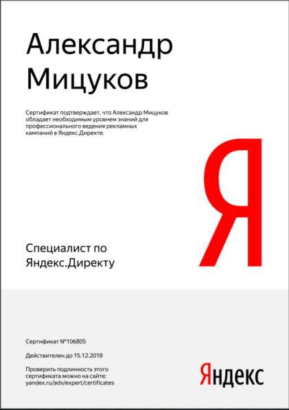 Ведение Яндекс Директ в Челябинске
