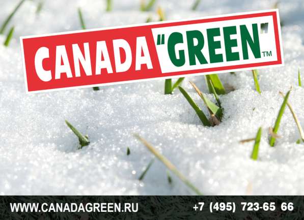 Газон КАНАДА ГРИН в Москве фото 13