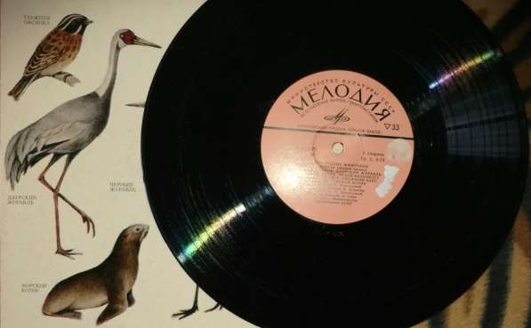 Пластинки с голосами разных птиц-2шт, в хорошем состоянии в фото 3