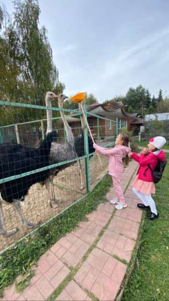 Экскурсия на страусиную ферму